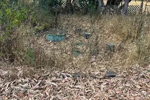 6675 Petersen Rd, Petaluma, CA 94952 - Photo 14