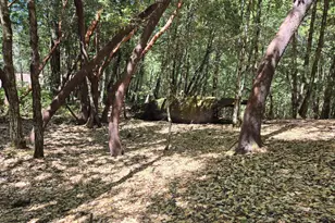 1686 Ponderosa Rd, Willits, CA 95490 - Photo 1