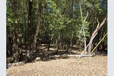 1686 Ponderosa Road, Willits, CA 95490 - Photo 2