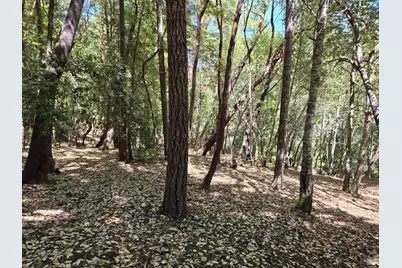 26710 Poppy Drive, Willits, CA 95490 - Photo 4