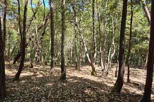 26710 Poppy Dr, Willits, CA 95490 - Photo 1