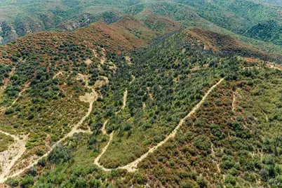 5950 State Highway 128, Napa, CA 94558 - Photo 24