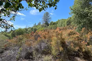 73046 Hill Rd, Covelo, CA 95428 - Photo 14