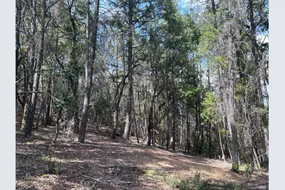 73046 Hill Road, Covelo, CA 95428 - Photo 12