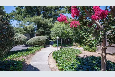 2364 Clay Street, Napa, CA 94559 - Photo 40