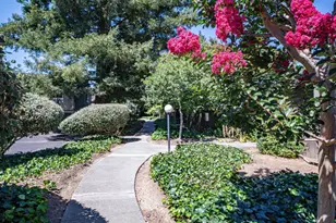 2364 Clay St, Napa, CA 94559 - Photo 40