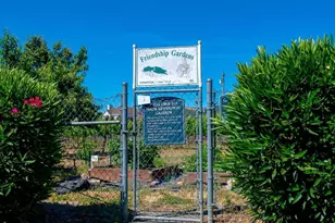 317 Tammy Way, Napa, CA 94558 - Photo 26