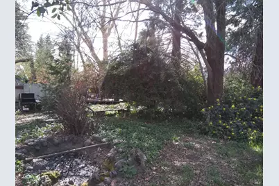 23875 Howard Street, Covelo, CA 95428 - Photo 6