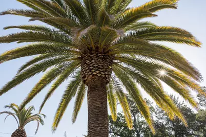 400 Meadowood Lane, Saint Helena, CA 94574 - Photo 28