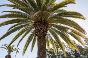 400 Meadowood Ln, Saint Helena, CA 94574 - Photo 28