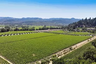 512 Meadowood Ln, Saint Helena, CA 94574 - Photo 92