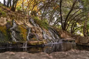 512 Meadowood Ln, Saint Helena, CA 94574 - Photo 64