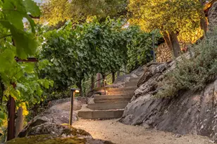 512 Meadowood Ln, Saint Helena, CA 94574 - Photo 68