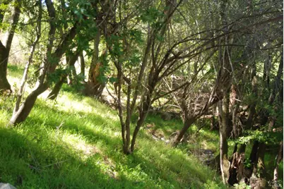 59 Fair Drive, San Rafael, CA 94915 - Photo 8