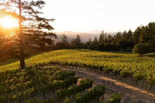 316 Wall Rd, Napa, CA 94558 - Photo 1