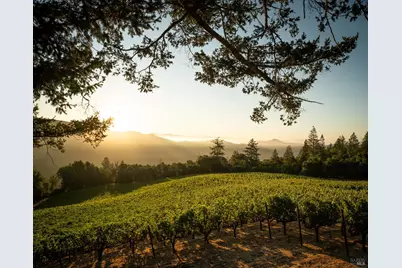 316 Wall Road, Napa, CA 94558 - Photo 6