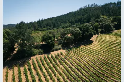 316 Wall Road, Napa, CA 94558 - Photo 4