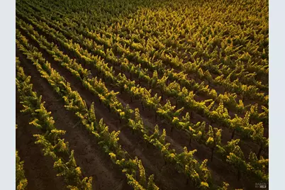 3231 Soda Canyon Road, Napa, CA 94558 - Photo 8