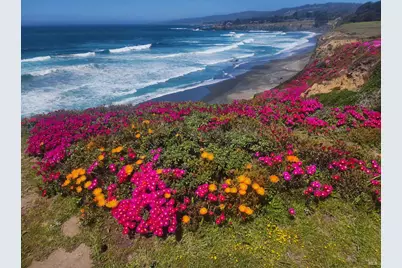 68 Black Point, The Sea Ranch, CA 95497 - Photo 12