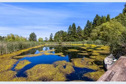 1194 Felta Road, Healdsburg, CA 95448 - Photo 10