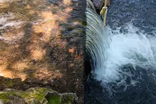 1194 Felta Rd, Healdsburg, CA 95448 - Photo 48