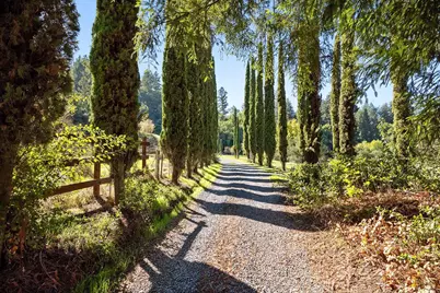 1194 Felta Road, Healdsburg, CA 95448 - Photo 8