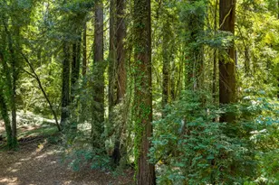 1194 Felta Rd, Healdsburg, CA 95448 - Photo 36