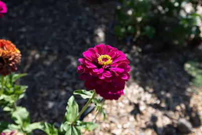 3541 Foxwood Place, Santa Rosa, CA 95405 - Photo 52