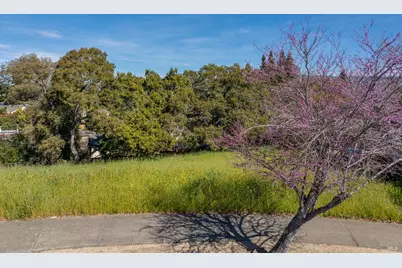 513 Larch Drive, Petaluma, CA 94952 - Photo 1