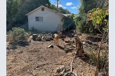 642 Trumbull Avenue, Novato, CA 94947 - Photo 6