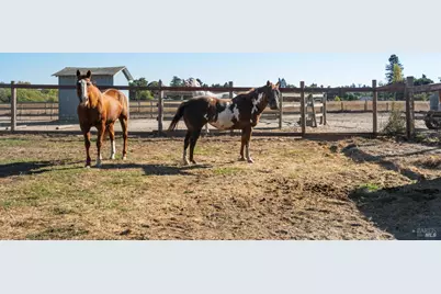 5111 Todd Road, Sebastopol, CA 95472 - Photo 26