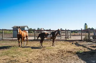 5111 Todd Rd, Sebastopol, CA 95472 - Photo 26