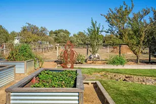 5111 Todd Rd, Sebastopol, CA 95472 - Photo 52