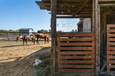 5111 Todd Road, Sebastopol, CA 95472 - Photo 20
