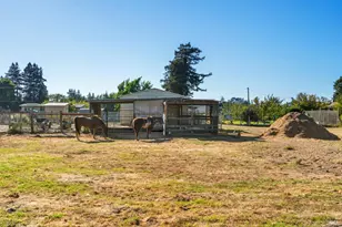5111 Todd Rd, Sebastopol, CA 95472 - Photo 24