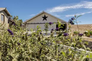 3150 Pepper Rd, Petaluma, CA 94952 - Photo 46