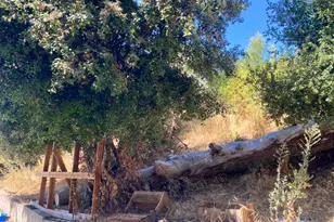 121 Kim Ct, Vallejo, CA 94591 - Photo 28