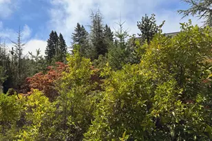 3700 Deer Meadow Ln, Occidental, CA 95465 - Photo 14