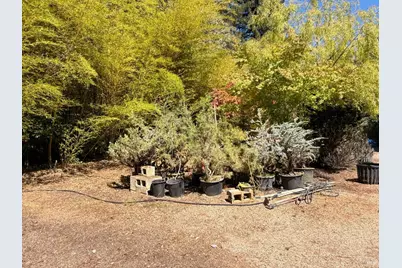 3700 Deer Meadow Lane, Occidental, CA 95465 - Photo 56