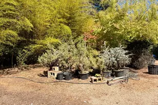 3700 Deer Meadow Ln, Occidental, CA 95465 - Photo 56