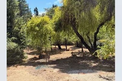 3700 Deer Meadow Lane, Occidental, CA 95465 - Photo 60