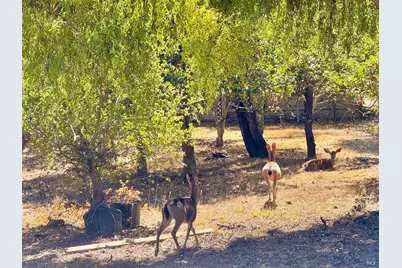 3700 Deer Meadow Lane, Occidental, CA 95465 - Photo 58