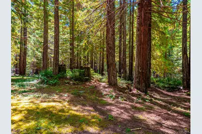 17900 Appian Way, Navarro, CA 95463 - Photo 54