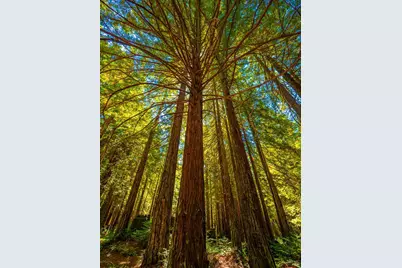 17900 Appian Way, Navarro, CA 95463 - Photo 58