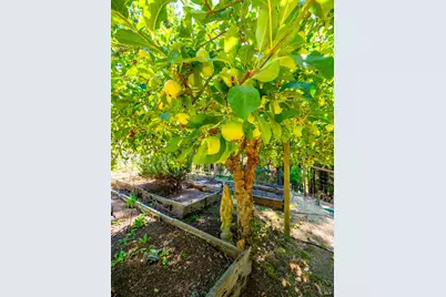 17900 Appian Way, Navarro, CA 95463 - Photo 40