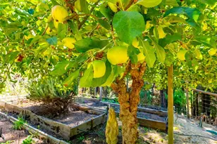 17900 Appian Way, Navarro, CA 95463 - Photo 40