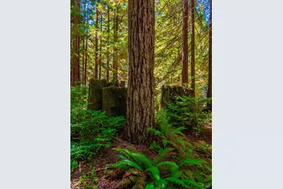 17900 Appian Way, Navarro, CA 95463 - Photo 56