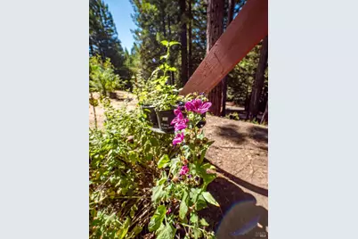 17900 Appian Way, Navarro, CA 95463 - Photo 36