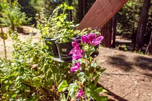 17900 Appian Way, Navarro, CA 95463 - Photo 36