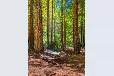 17900 Appian Way, Navarro, CA 95463 - Photo 60